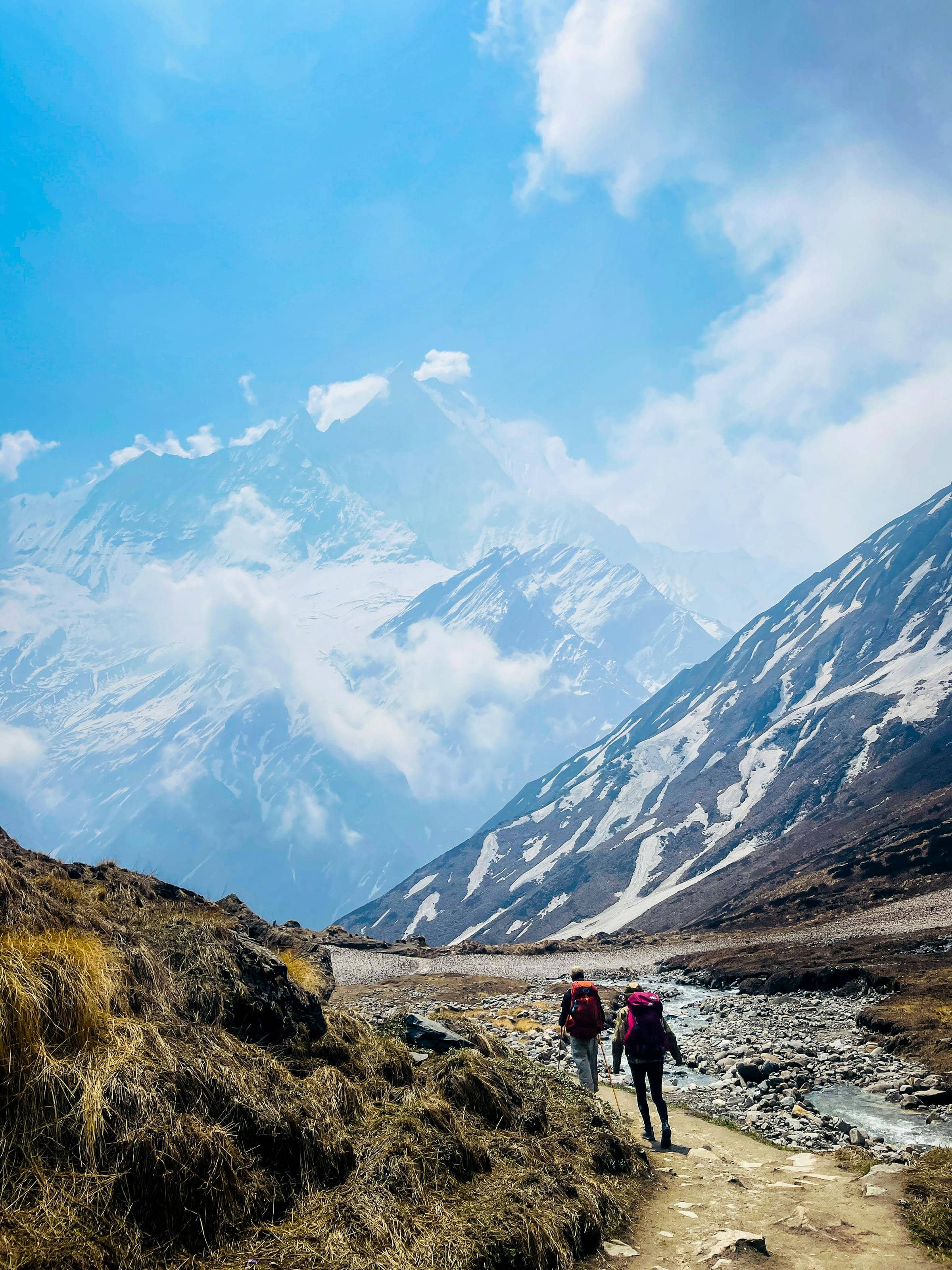 Two figures walking a stone Himalayan trail, mist clinging to the pines.