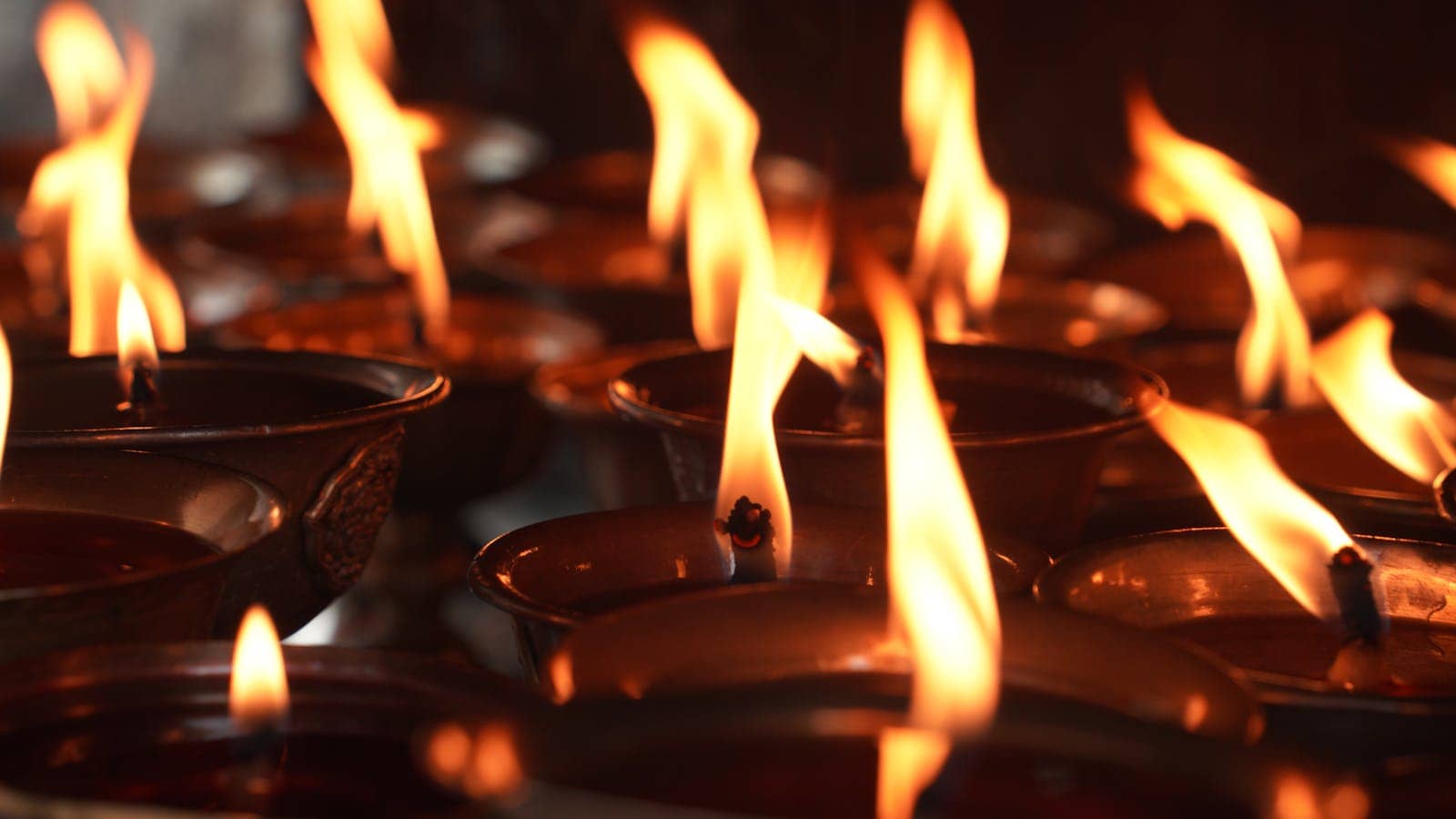 Rows of brass butter lamps lit in a Kathmandu monastery hall.